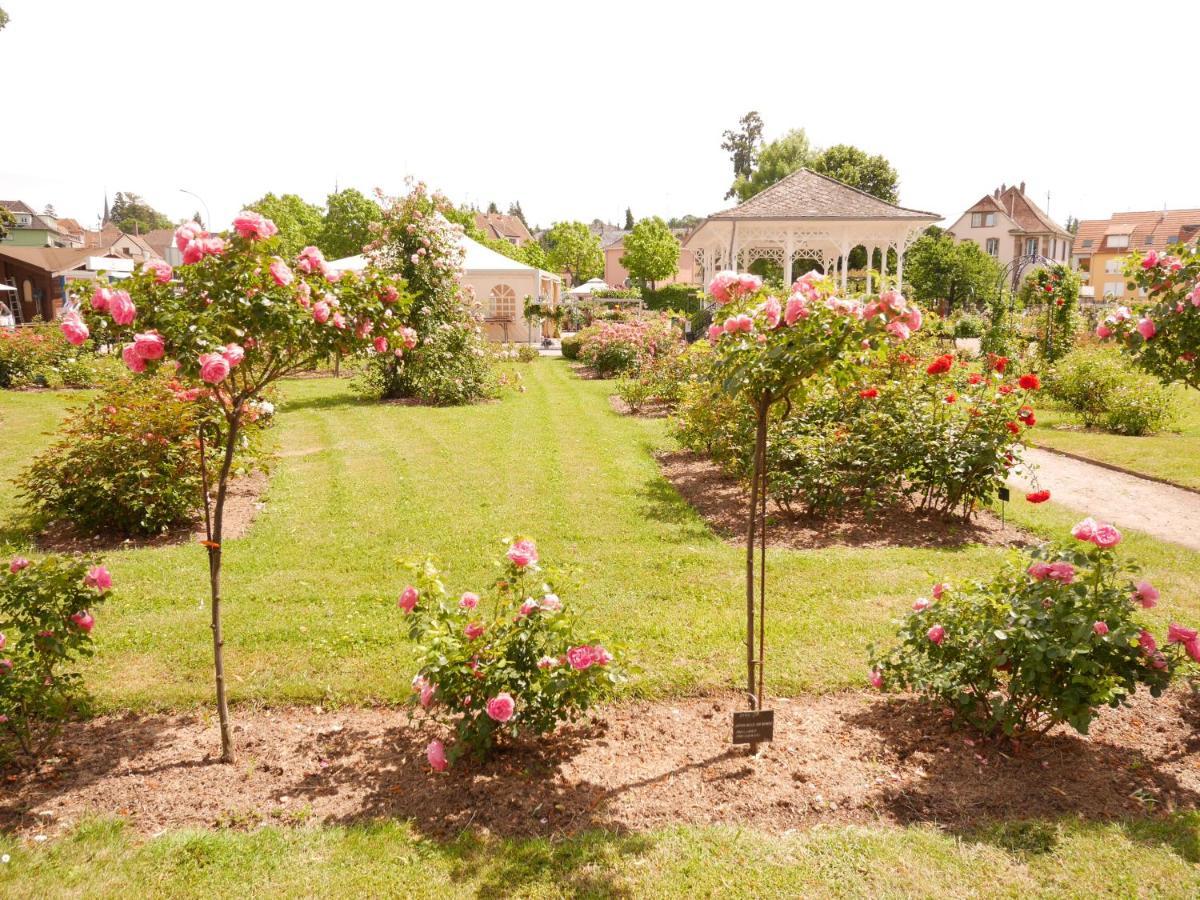 Le Jardin Des Roses Daire Saverne Dış mekan fotoğraf