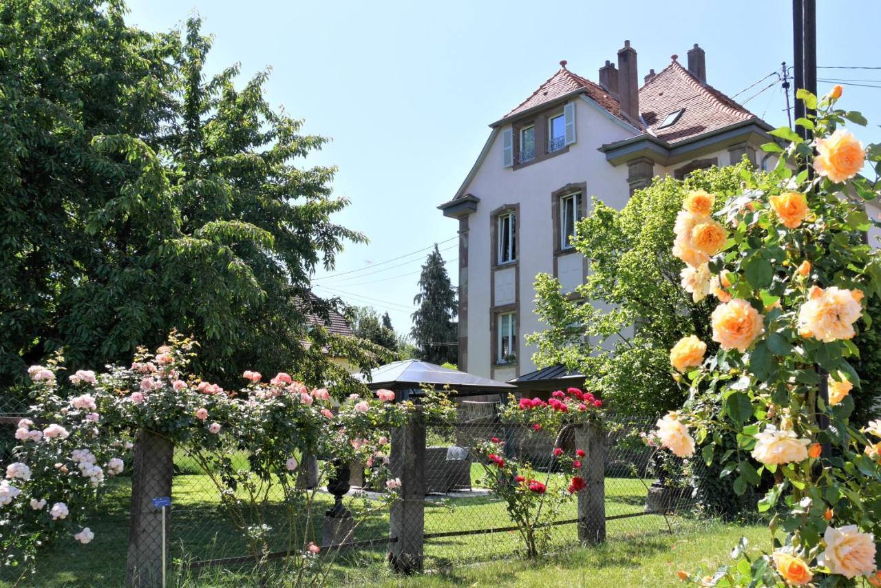 Le Jardin Des Roses Daire Saverne Dış mekan fotoğraf