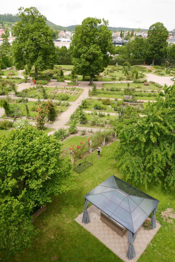 Le Jardin Des Roses Daire Saverne Dış mekan fotoğraf