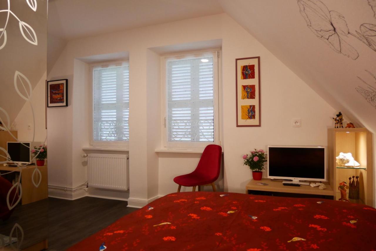 Le Jardin Des Roses Daire Saverne Dış mekan fotoğraf