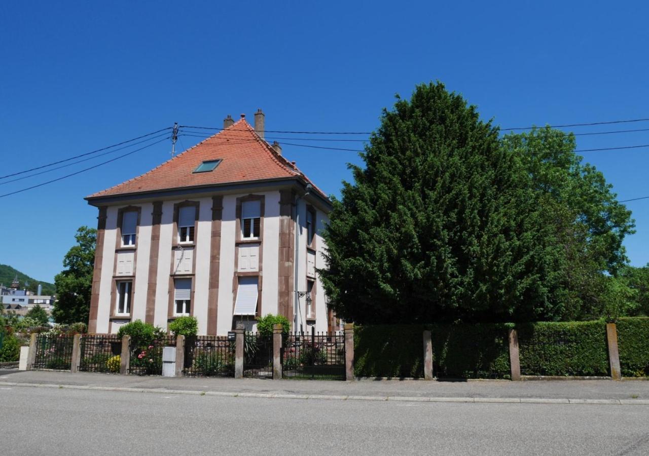 Le Jardin Des Roses Daire Saverne Dış mekan fotoğraf