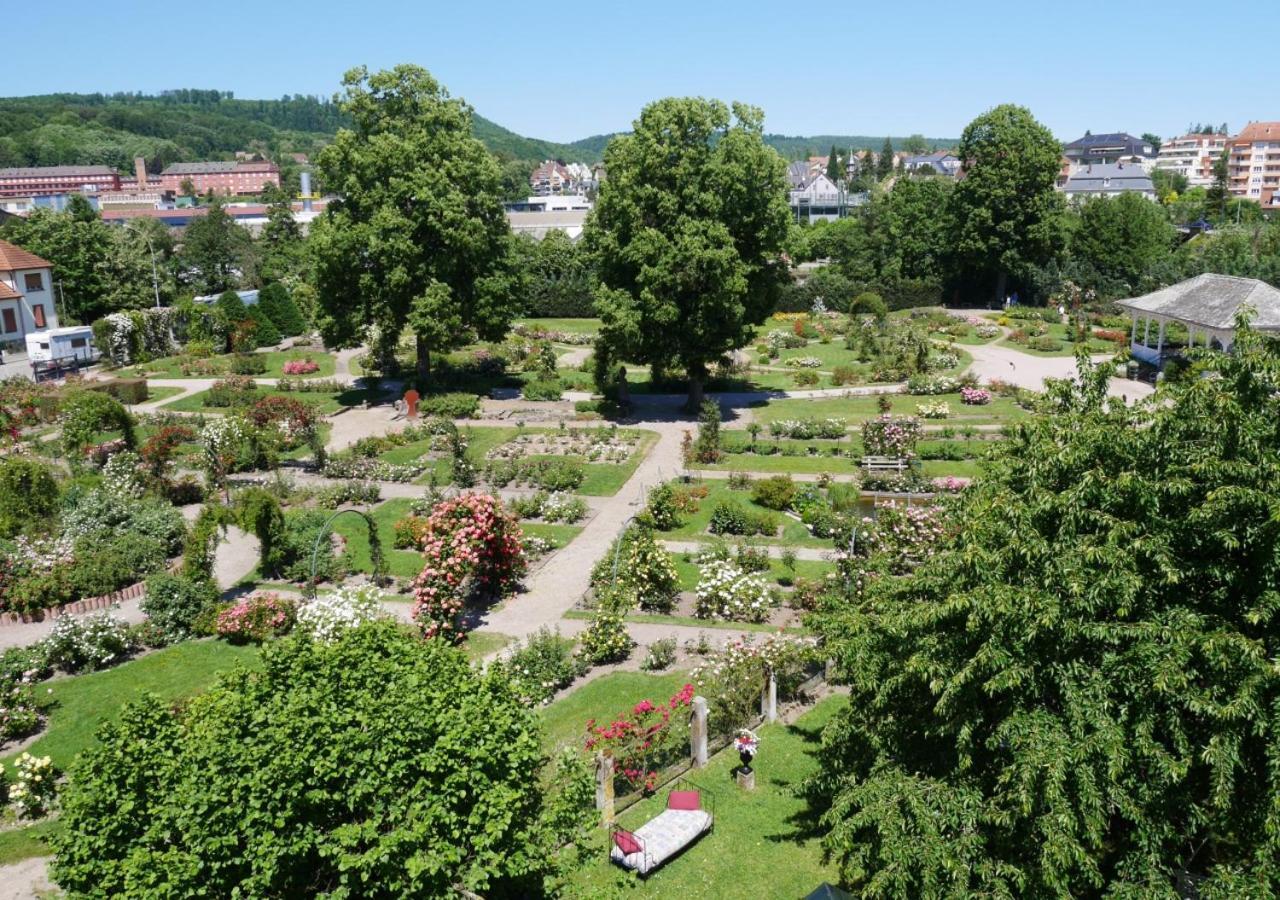 Le Jardin Des Roses Daire Saverne Dış mekan fotoğraf